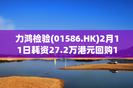 力鸿检验(01586.HK)2月11日耗资27.2万港元回购11.6万股