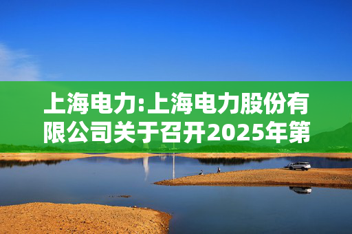 上海电力:上海电力股份有限公司关于召开2025年第一次临时股东大会的通知