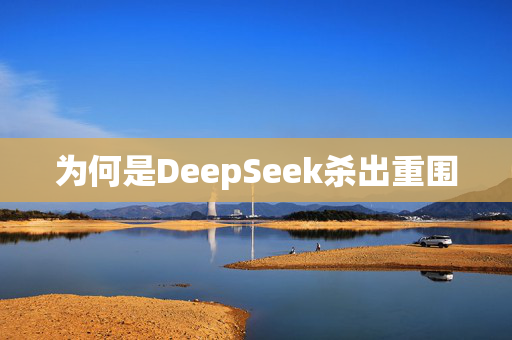 为何是DeepSeek杀出重围