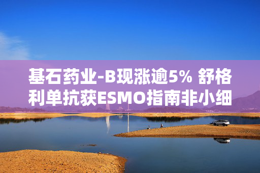 基石药业-B现涨逾5% 舒格利单抗获ESMO指南非小细胞肺癌双适应症一线治疗推荐