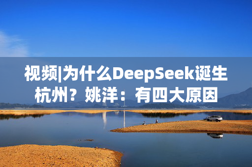 视频|为什么DeepSeek诞生杭州？姚洋：有四大原因