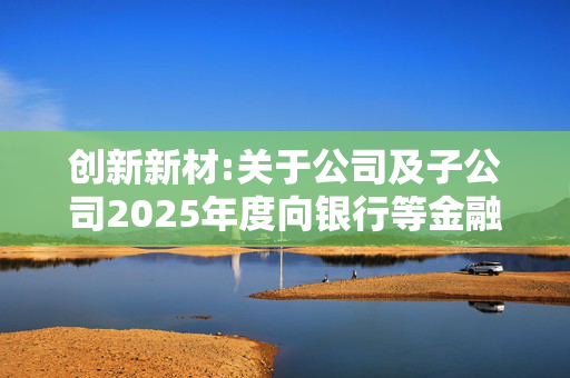 创新新材:关于公司及子公司2025年度向银行等金融机构申请综合授信提供担保事项的进展公告