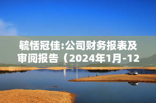 毓恬冠佳:公司财务报表及审阅报告（2024年1月-12月）