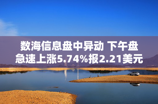 数海信息盘中异动 下午盘急速上涨5.74%报2.21美元