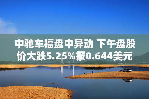 中驰车福盘中异动 下午盘股价大跌5.25%报0.644美元