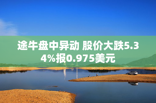 途牛盘中异动 股价大跌5.34%报0.975美元