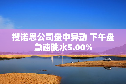 搜诺思公司盘中异动 下午盘急速跳水5.00%