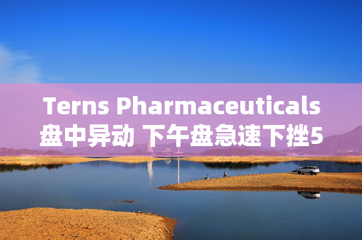 Terns Pharmaceuticals盘中异动 下午盘急速下挫5.04%