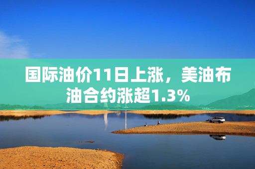 国际油价11日上涨，美油布油合约涨超1.3%