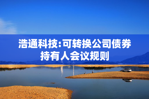 浩通科技:可转换公司债券持有人会议规则