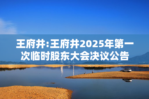 王府井:王府井2025年第一次临时股东大会决议公告