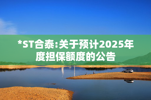 *ST合泰:关于预计2025年度担保额度的公告