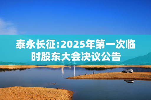 泰永长征:2025年第一次临时股东大会决议公告