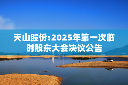 天山股份:2025年第一次临时股东大会决议公告