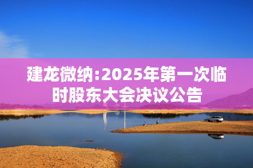 建龙微纳:2025年第一次临时股东大会决议公告