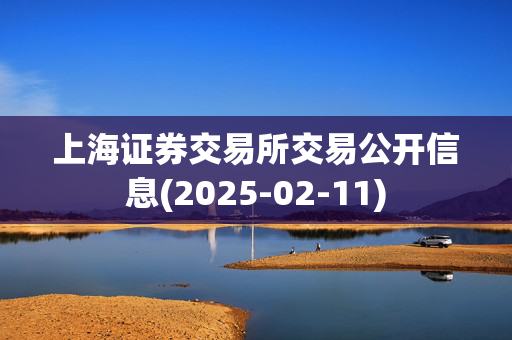 上海证券交易所交易公开信息(2025-02-11)