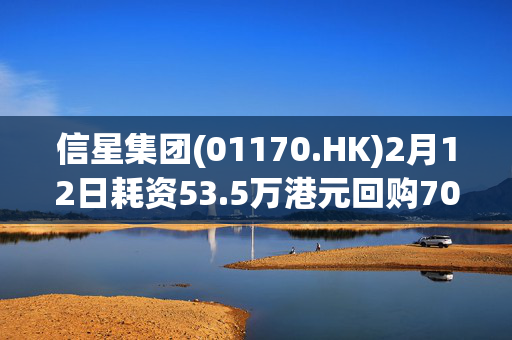 信星集团(01170.HK)2月12日耗资53.5万港元回购70万股