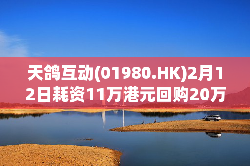 天鸽互动(01980.HK)2月12日耗资11万港元回购20万股