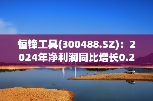 恒锋工具(300488.SZ)：2024年净利润同比增长0.28%