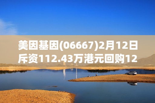 美因基因(06667)2月12日斥资112.43万港元回购12.54万股