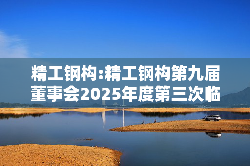 精工钢构:精工钢构第九届董事会2025年度第三次临时会议决议公告