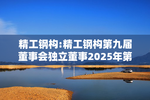 精工钢构:精工钢构第九届董事会独立董事2025年第一次专门会议审核意见