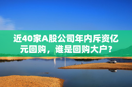 近40家A股公司年内斥资亿元回购，谁是回购大户？