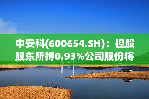 中安科(600654.SH)：控股股东所持0.93%公司股份将被司法拍卖