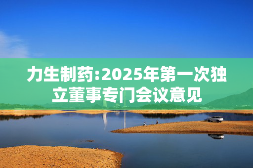 力生制药:2025年第一次独立董事专门会议意见