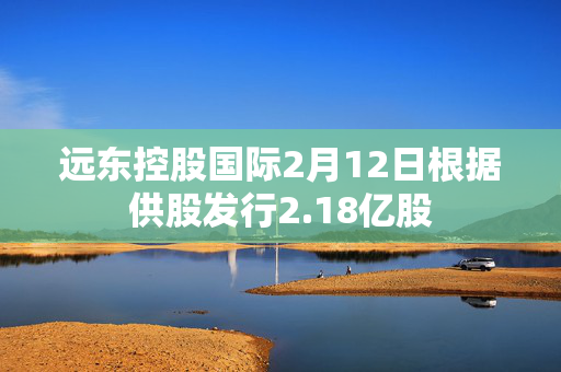 远东控股国际2月12日根据供股发行2.18亿股