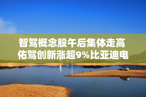 智驾概念股午后集体走高 佑驾创新涨超9%比亚迪电子涨超6%