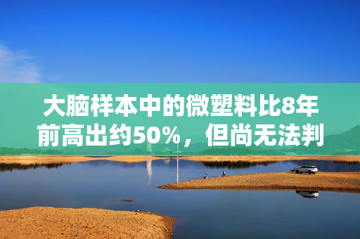 大脑样本中的微塑料比8年前高出约50%，但尚无法判断对健康具体影响