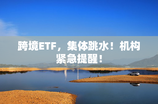 跨境ETF，集体跳水！机构紧急提醒！