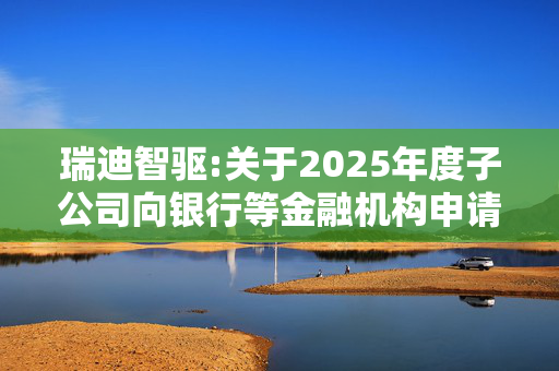 瑞迪智驱:关于2025年度子公司向银行等金融机构申请综合授信额度及公司提供担保并接受关联方担保的公告