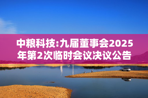 中粮科技:九届董事会2025年第2次临时会议决议公告