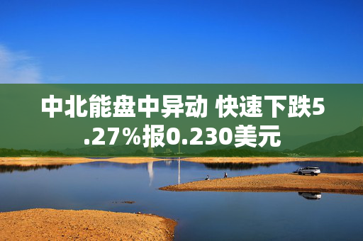 中北能盘中异动 快速下跌5.27%报0.230美元