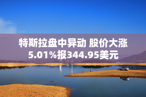 特斯拉盘中异动 股价大涨5.01%报344.95美元