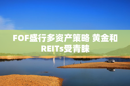 FOF盛行多资产策略 黄金和REITs受青睐