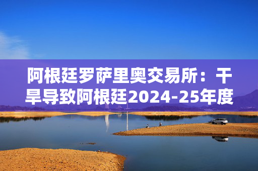 阿根廷罗萨里奥交易所：干旱导致阿根廷2024-25年度玉米产量预估下调