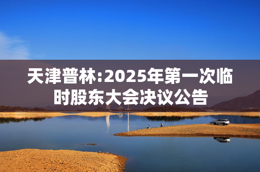 天津普林:2025年第一次临时股东大会决议公告