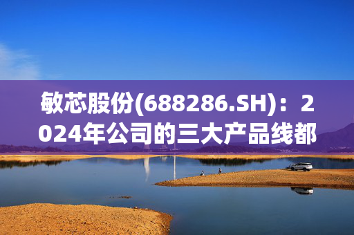 敏芯股份(688286.SH)：2024年公司的三大产品线都有不同程度的增长