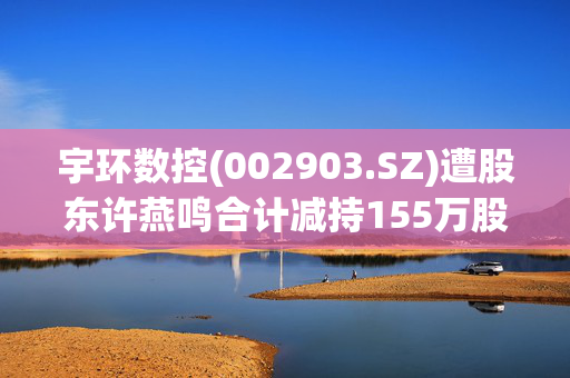 宇环数控(002903.SZ)遭股东许燕鸣合计减持155万股