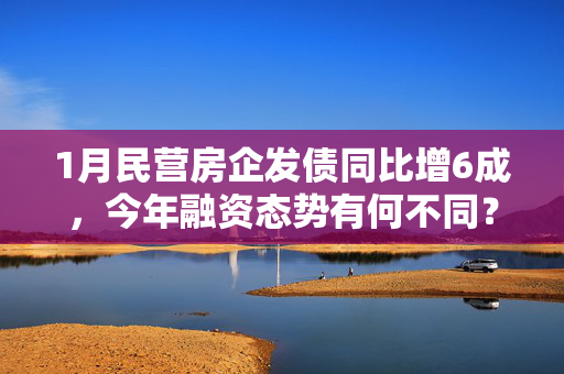 1月民营房企发债同比增6成，今年融资态势有何不同？