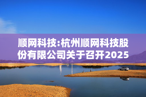 顺网科技:杭州顺网科技股份有限公司关于召开2025年第一次临时股东大会的通知