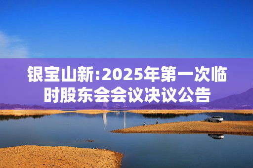 银宝山新:2025年第一次临时股东会会议决议公告