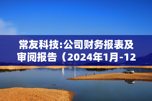 常友科技:公司财务报表及审阅报告（2024年1月-12月）