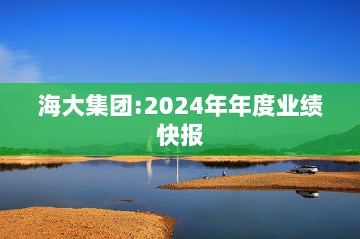 海大集团:2024年年度业绩快报