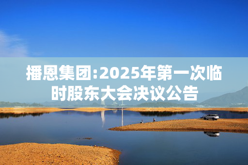 播恩集团:2025年第一次临时股东大会决议公告