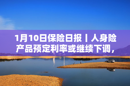 1月10日保险日报丨人身险产品预定利率或继续下调，超2000家保险公司分支机构去年退场，分红险上货架动真格