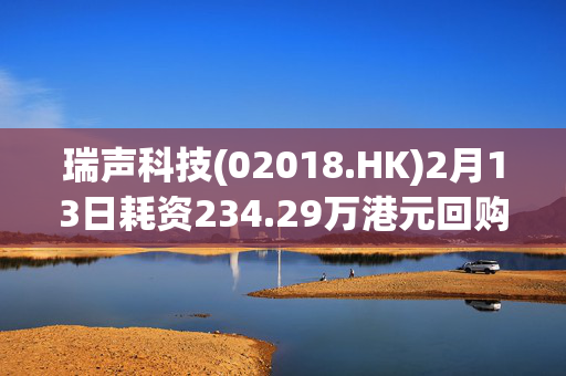 瑞声科技(02018.HK)2月13日耗资234.29万港元回购5万股